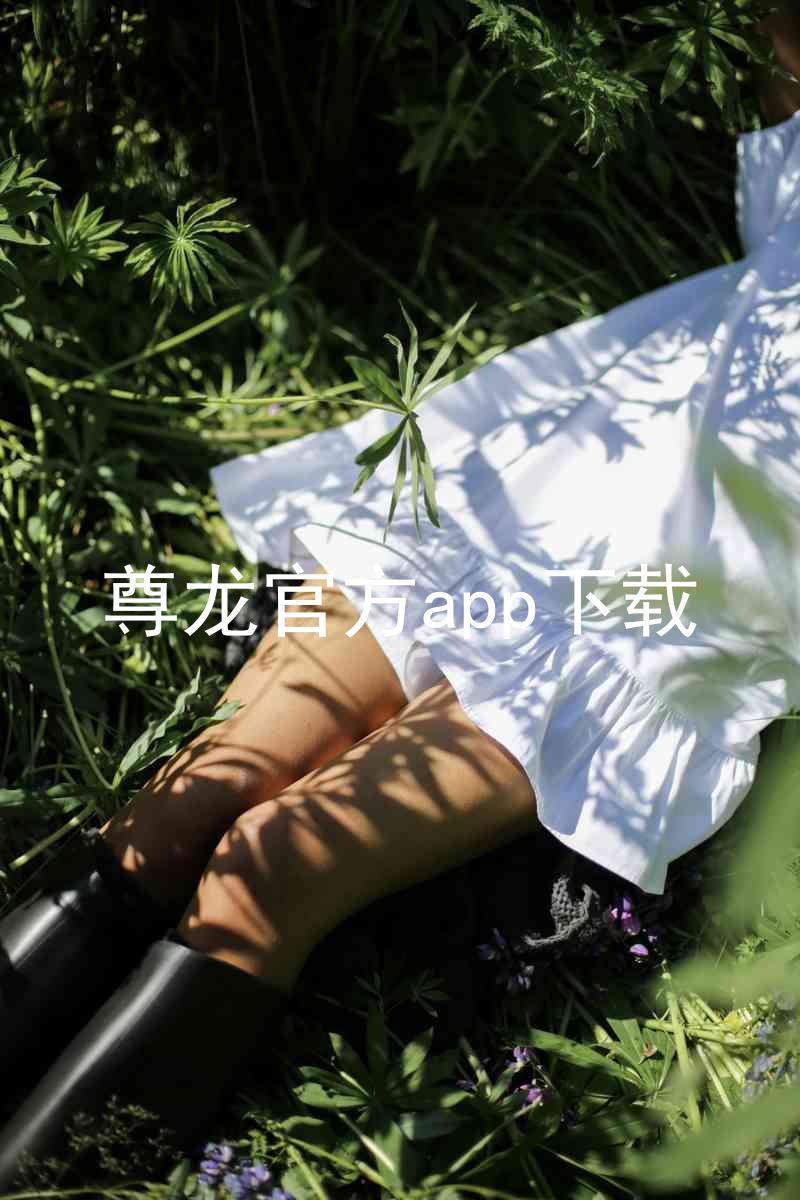 尊龙官方app下载