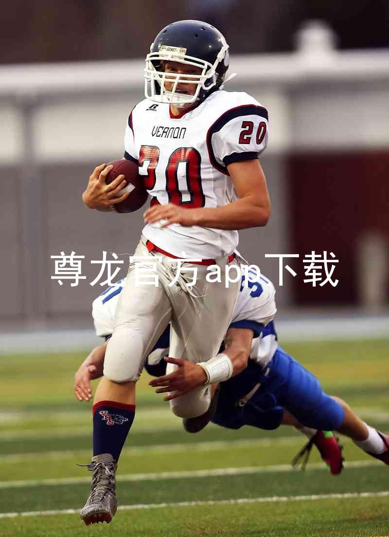 尊龙官方app下载