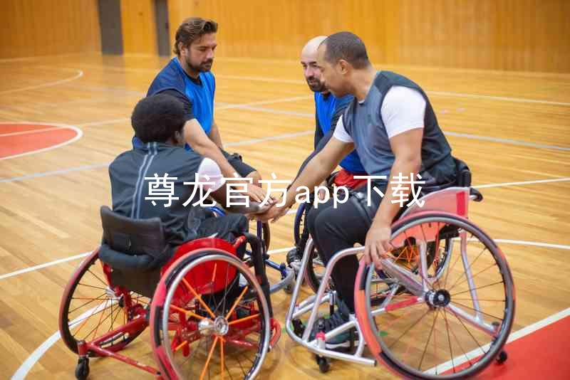 尊龙官方app下载