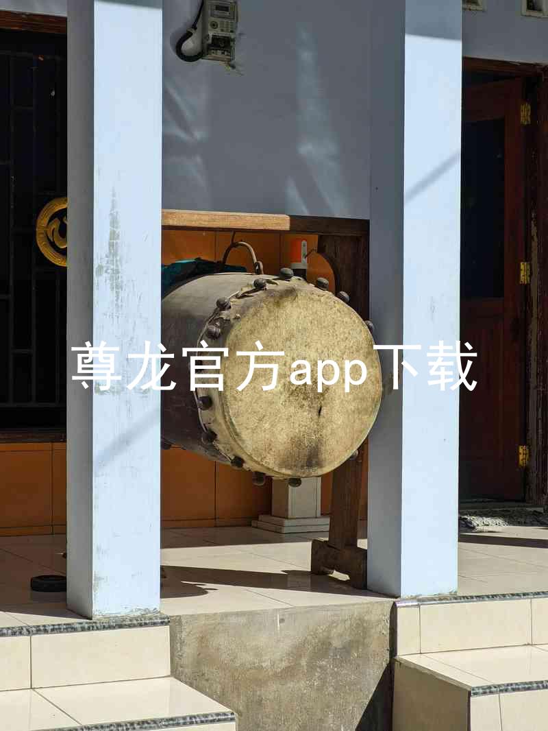 尊龙官方app下载