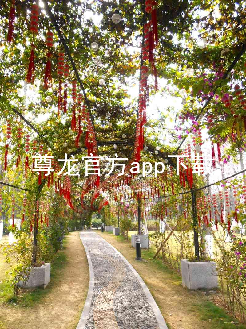 尊龙官方app下载